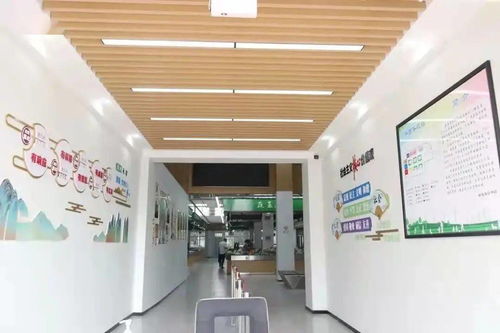 为我市候选‘十大民心工程’信息咨询服务项目投上宝贵一票